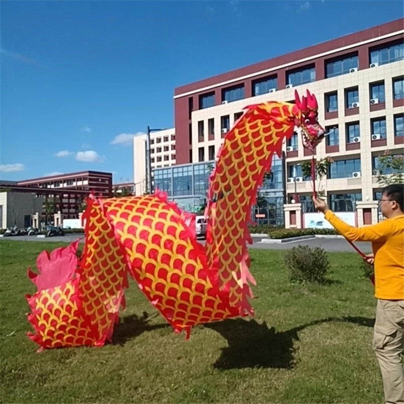 8Meter 3D Dragon Head Fitness  - Outdoor Sport Gym 评论和价格