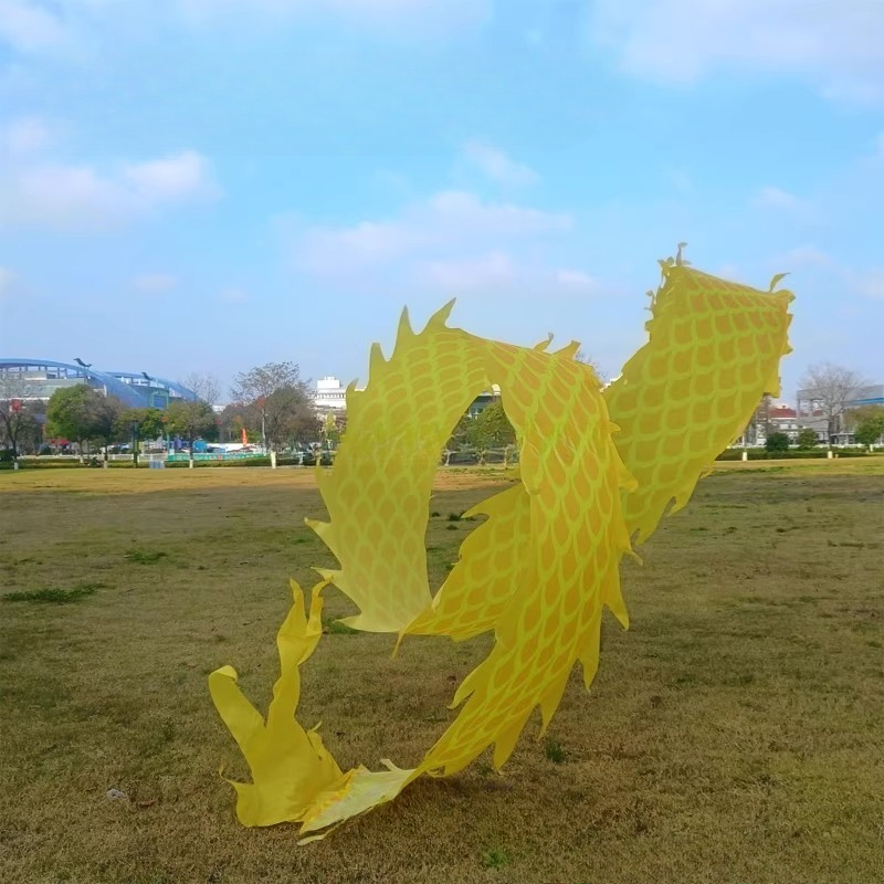8Meter 3D Dragon Head Fitness  - Outdoor Sport Gym 评论和价格
